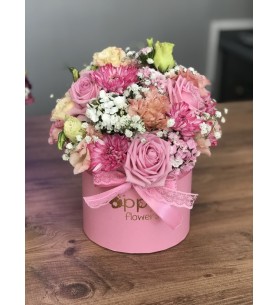 Poppy Box 1